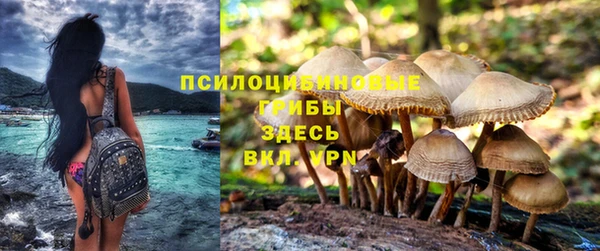 ALPHA-PVP Бугульма