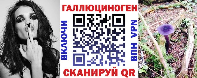 закладки  Артём  Псилоцибиновые грибы ЛСД 